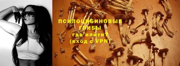тгк Армянск